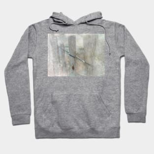 Faded Dreams Hoodie